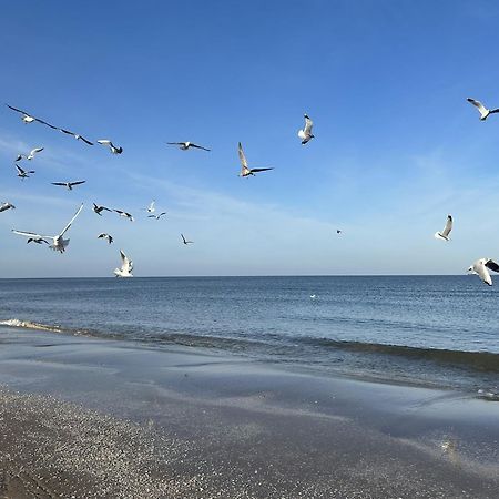 Pension Wald Und See هيرينجسدورف المظهر الخارجي الصورة