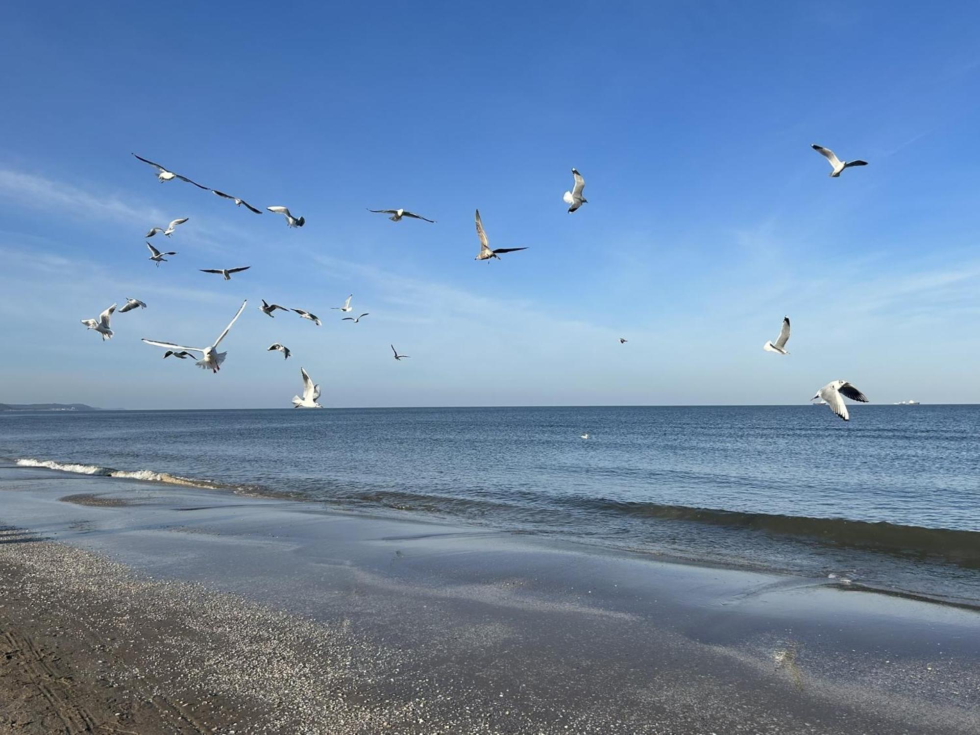 Pension Wald Und See هيرينجسدورف المظهر الخارجي الصورة